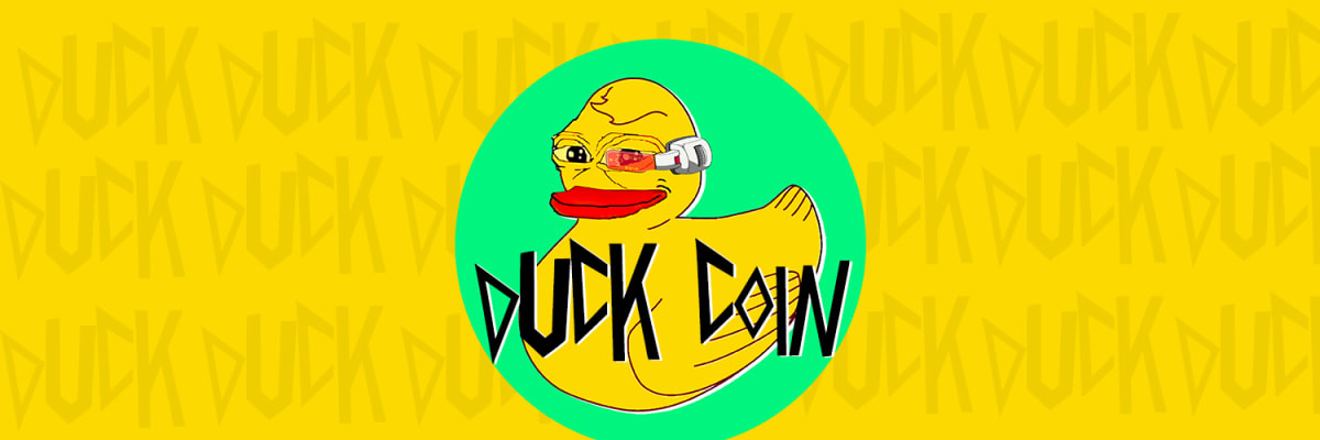 DuckCoin | Flipside Analyst