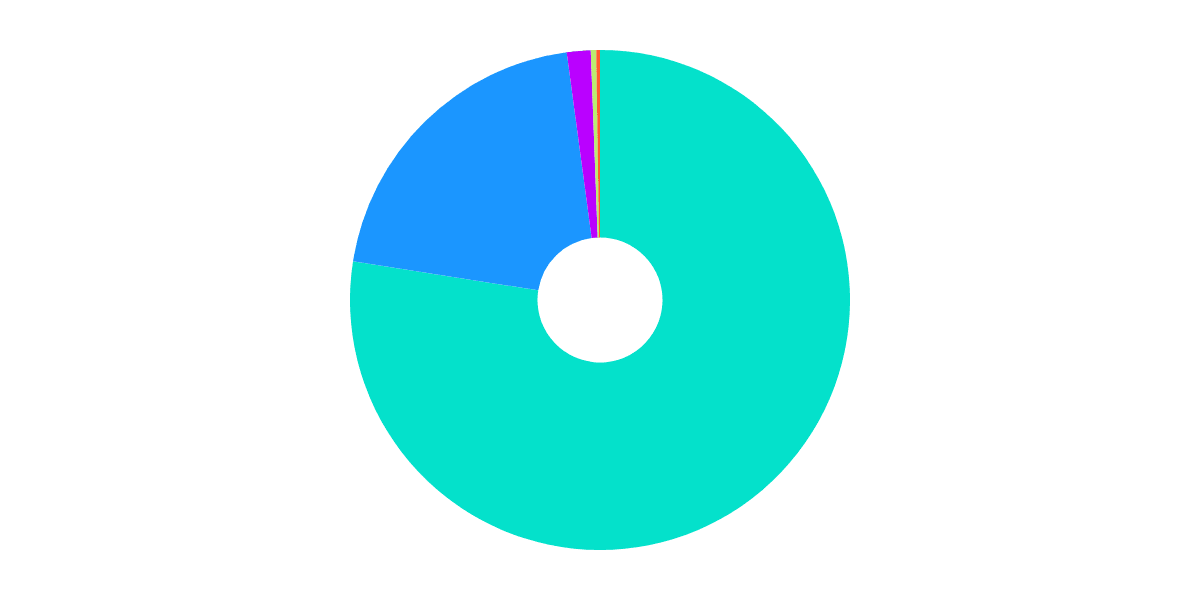 Average Solana Portfolio