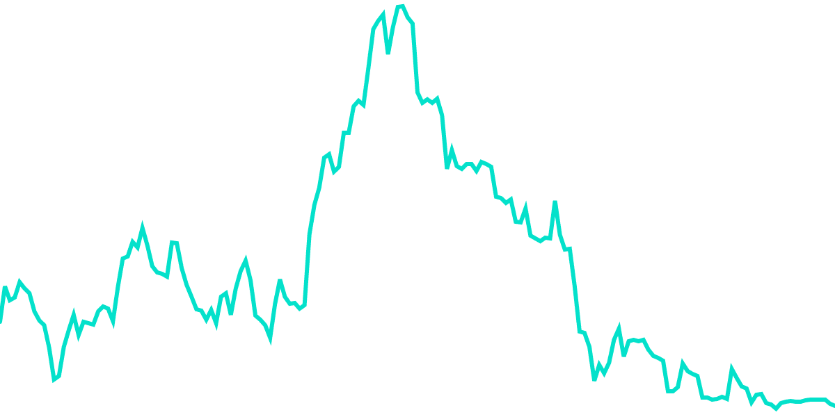 Total Value Locked | Opyn