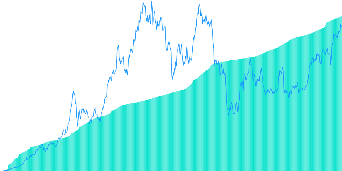 Shanghai Upgrade: Unraveling the Ripple Effects 