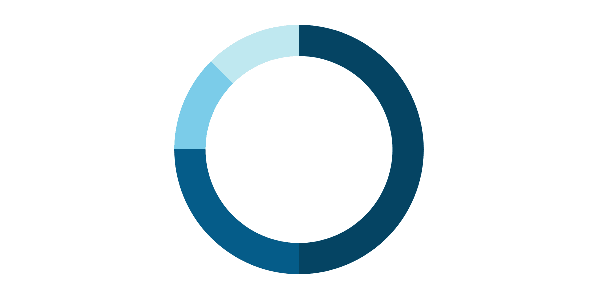 Iced Out Coin Flip: Revenue Share