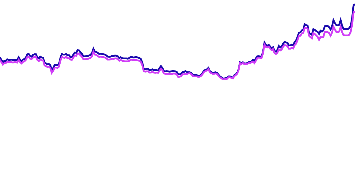 🌀Swell Network🌀