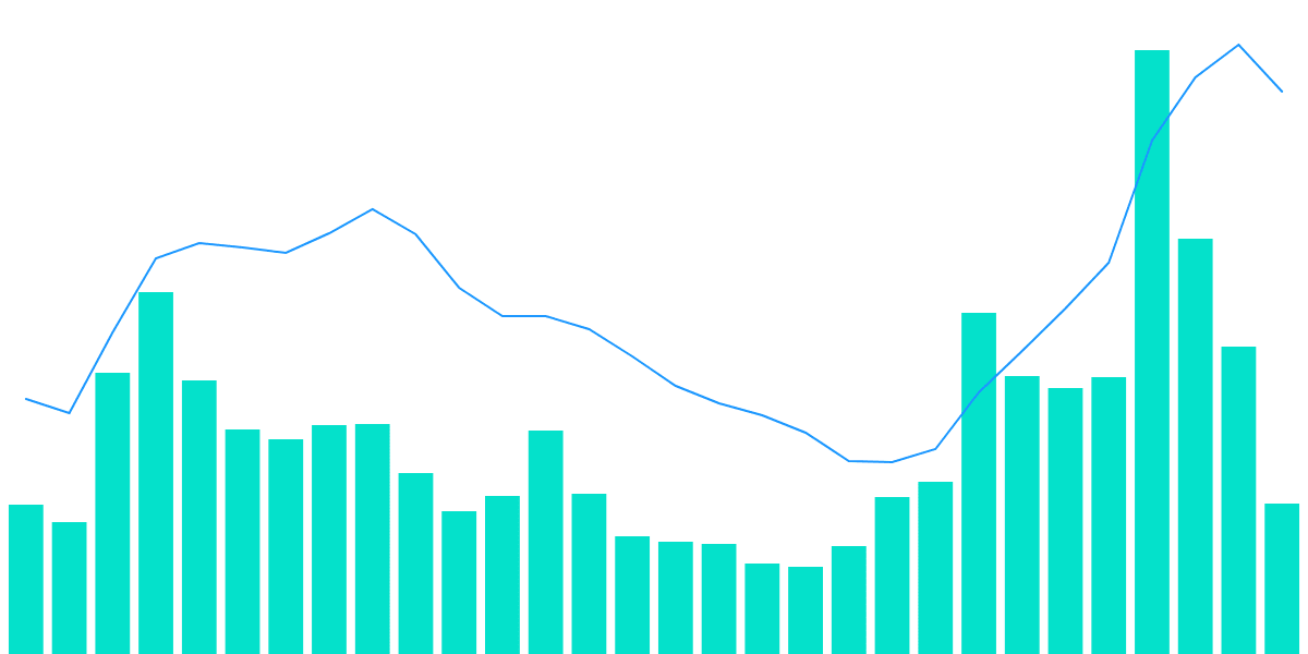 BONK Dashboard