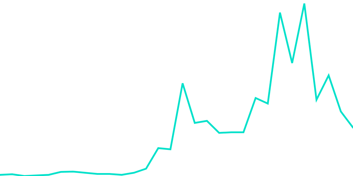 Near's Lending Activities 