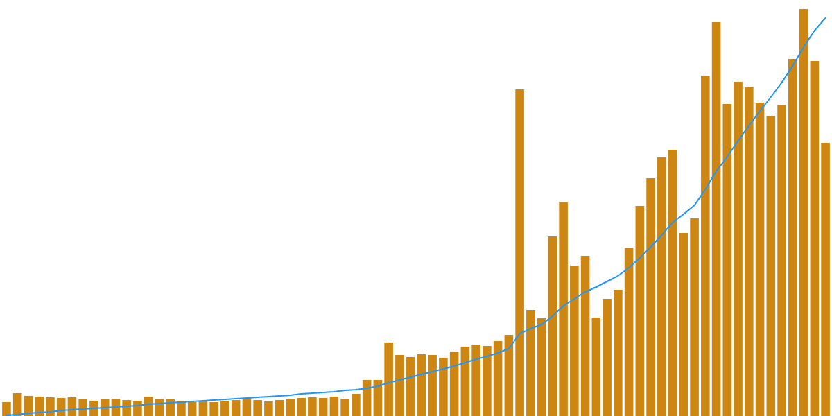 Explosive Growth and Dominance of the Near Network in 2024