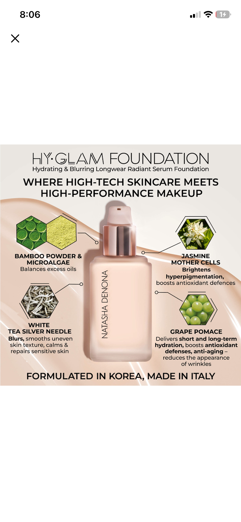 Natasha denona foundation