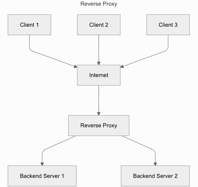 How a reverse proxy works