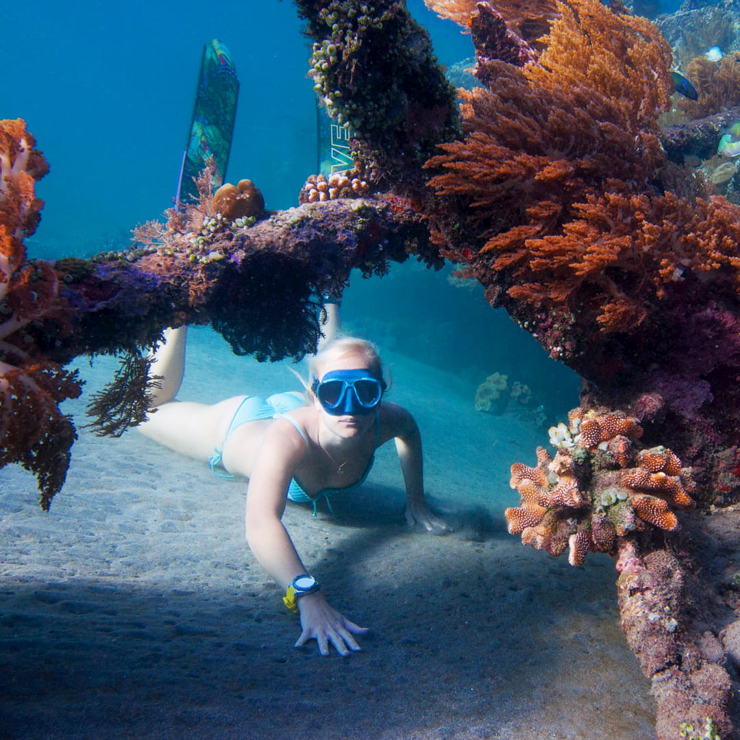 Trident Freedivers - Hanna coral