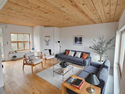 Scandinavian interior design style example