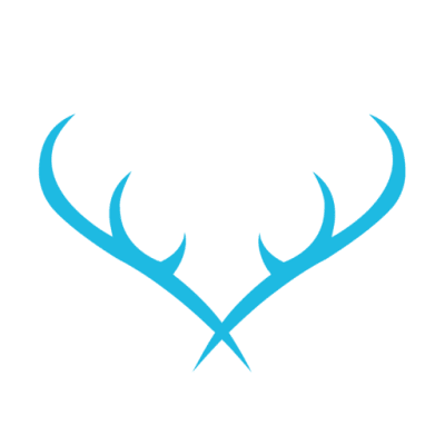 WEBMARKETIERE