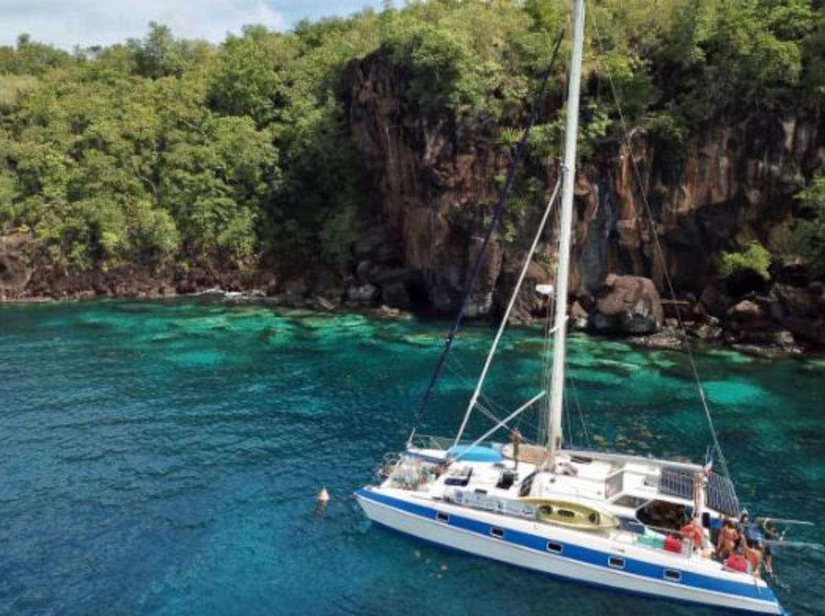 Journée catamaran + snorkeling tortues