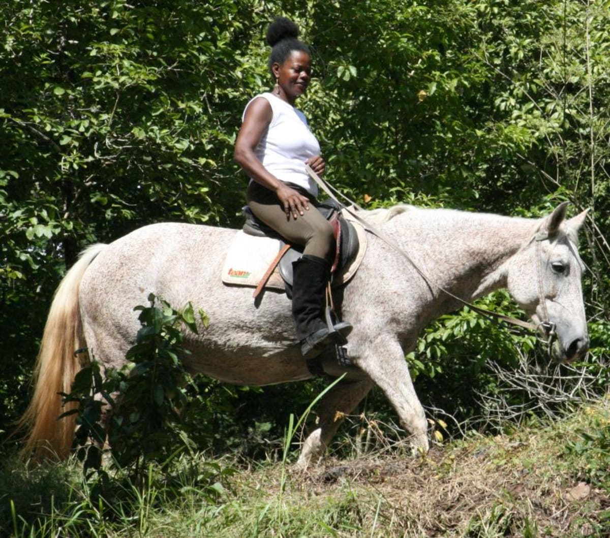 Balade à cheval "découverte tropicale"