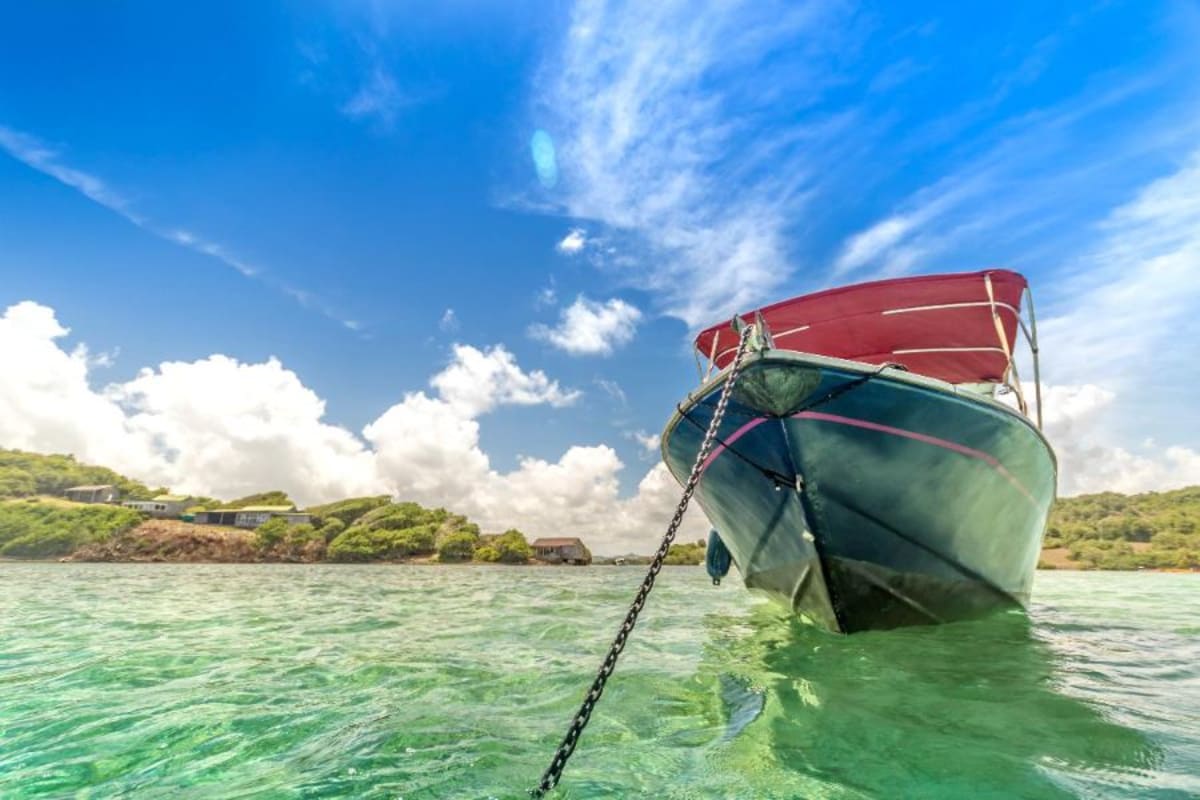 Balade en mer fonds blancs et iguanes en petit comité