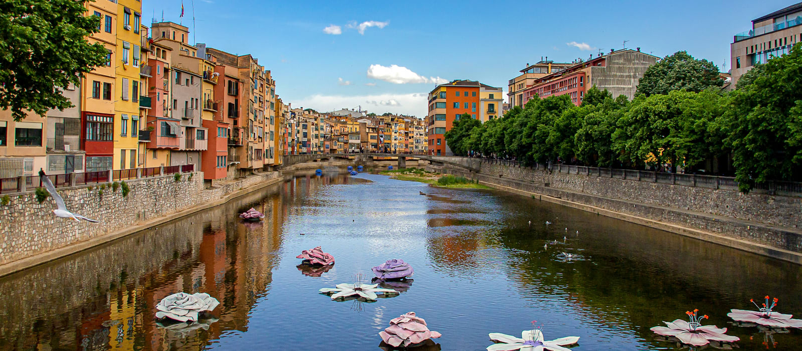 Girona Day Trip from Barcelona: Medieval City by High-Speed Train