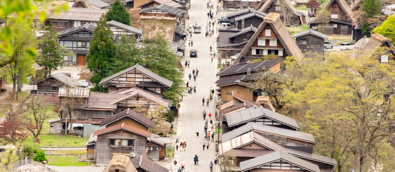 2 Weeks in Japan: A Comprehensive Itinerary