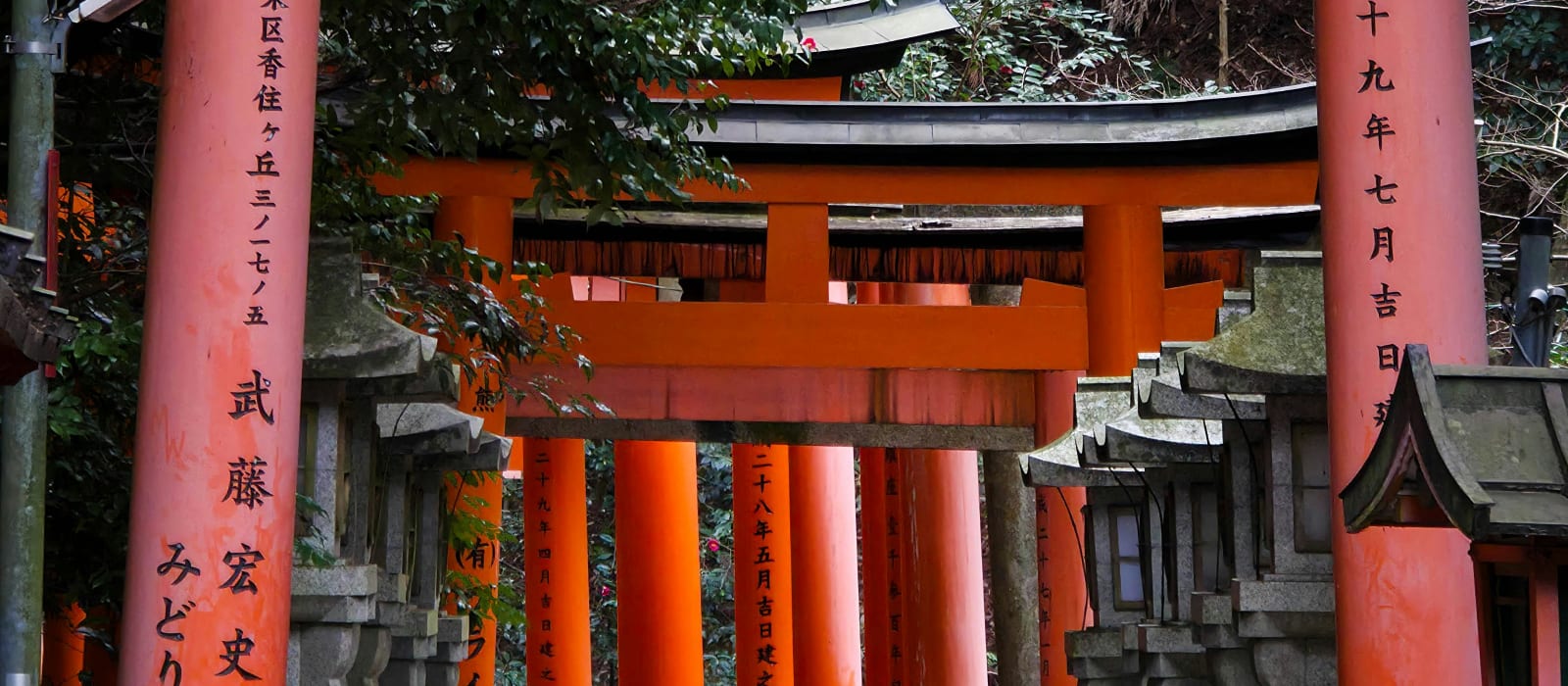 Fushimi Inari Shrine Guide (Kyoto)