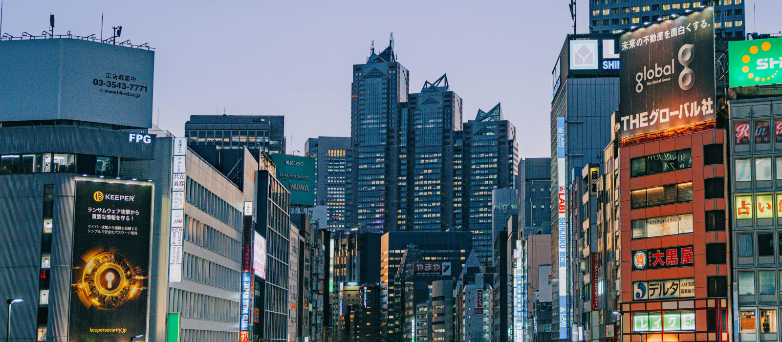 Shinjuku Area Guide: What to Do in Tokyo's Busiest Hub