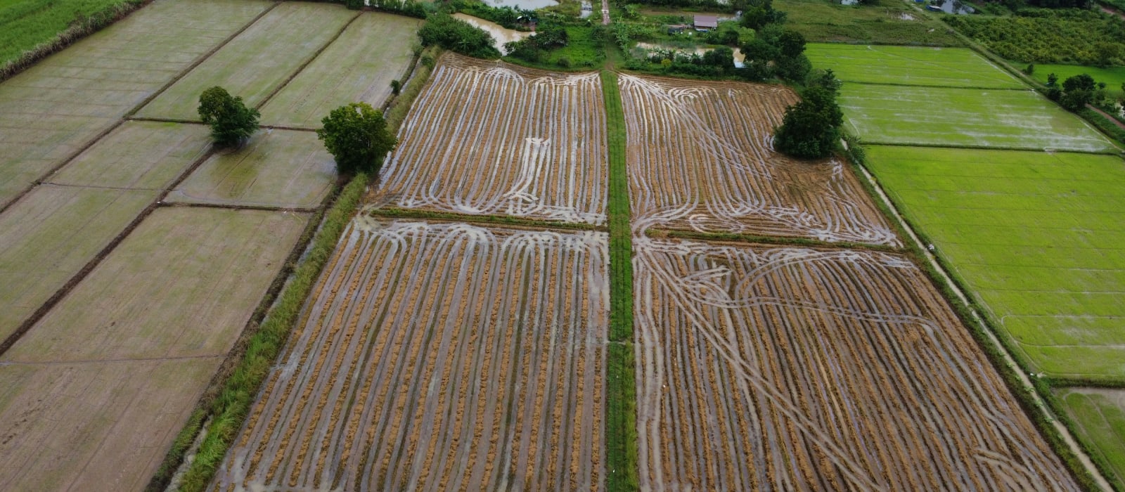 Isan: Exploring Thailand's Northeast