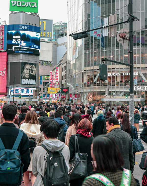 Shibuya & Harajuku Area Guide