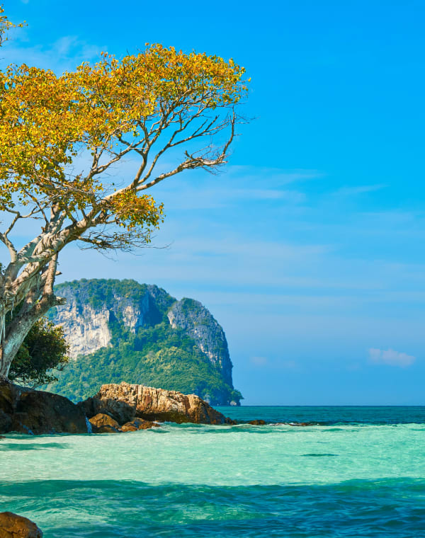 Thailand Weather by Season: A Month-by-Month Guide