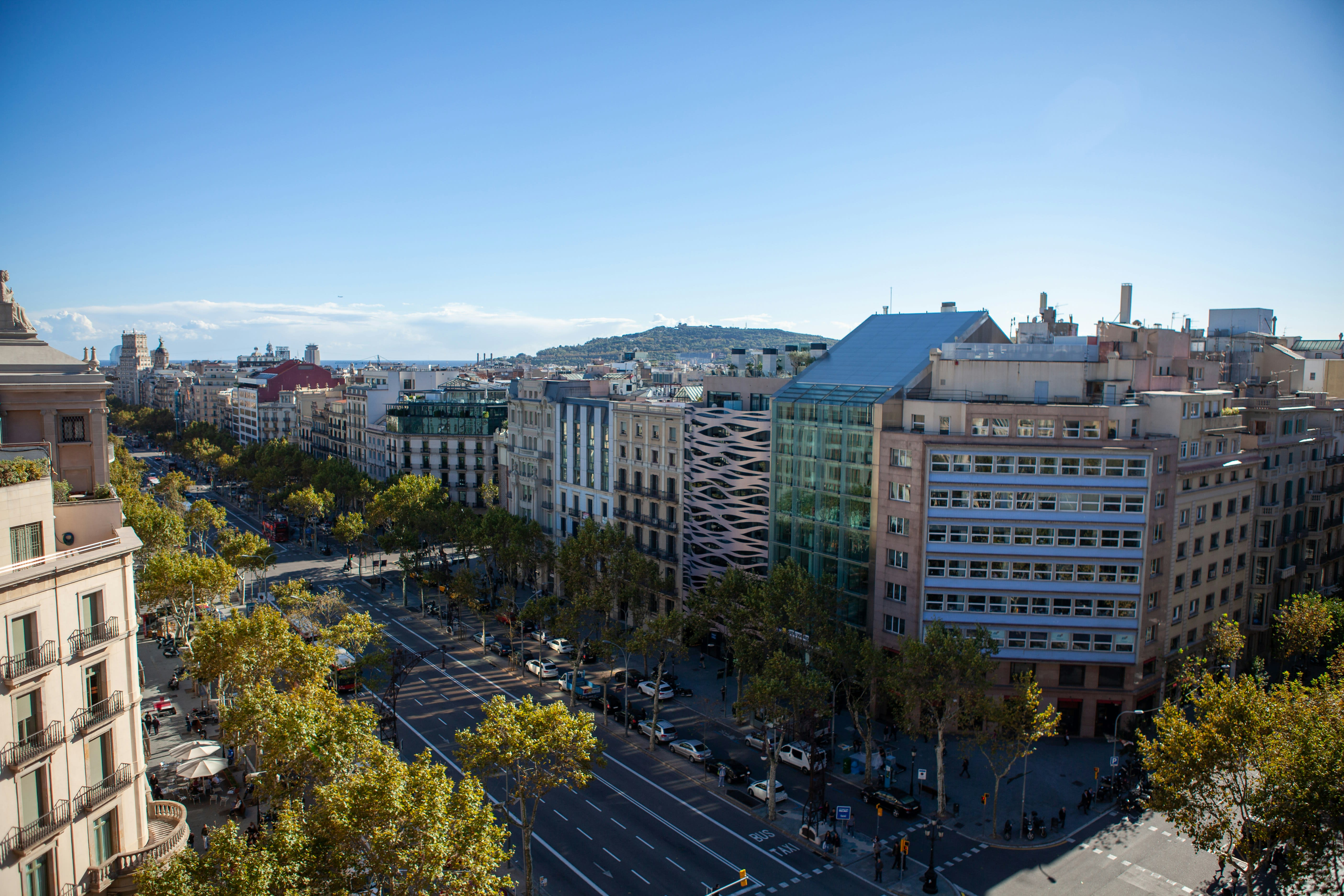 Aerial or elevated view of the Eixample grid showing the distinctive octagonal-cornered blocks