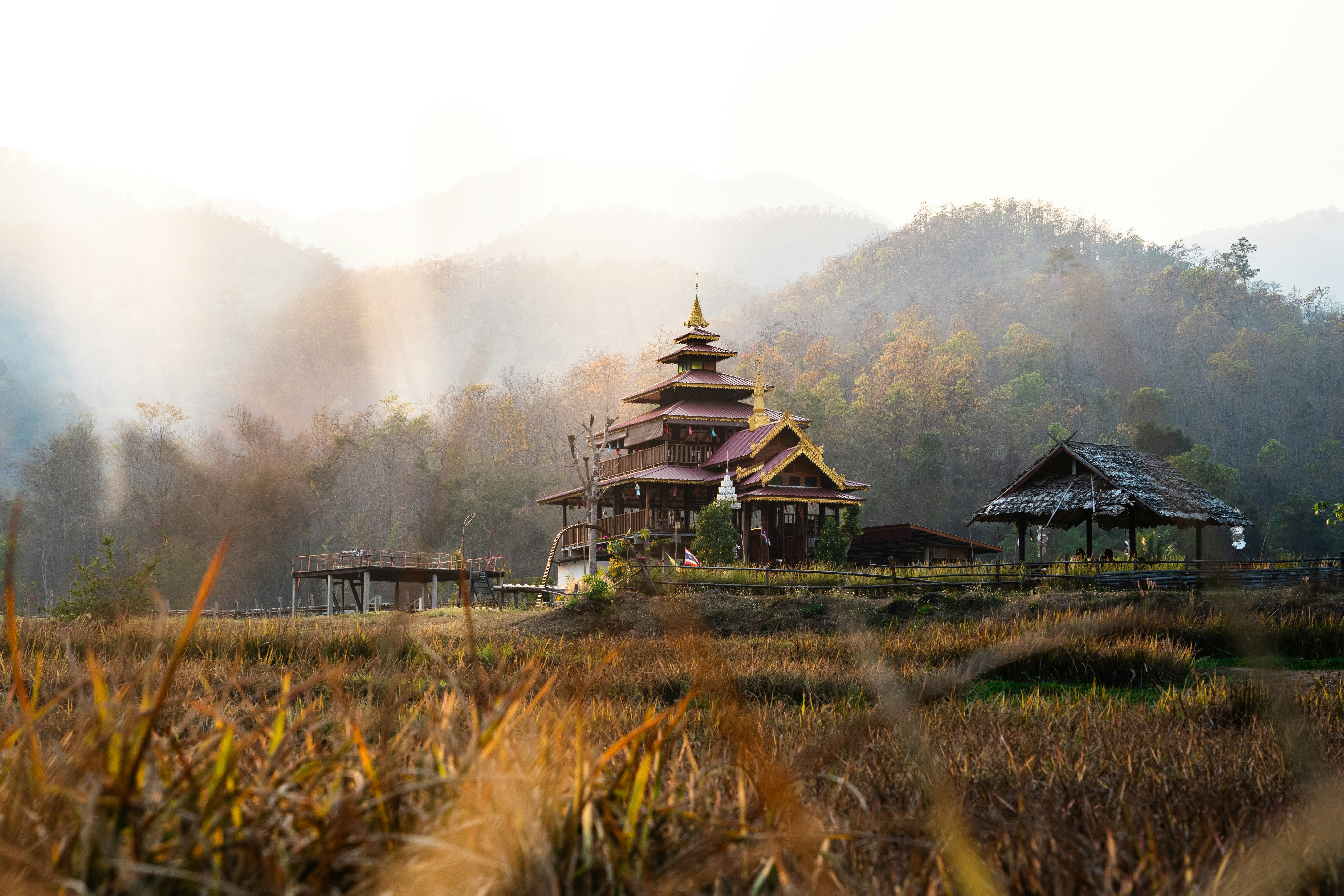 Northern Thailand mountains, Chiang Rai's White Temple, or elephants in green