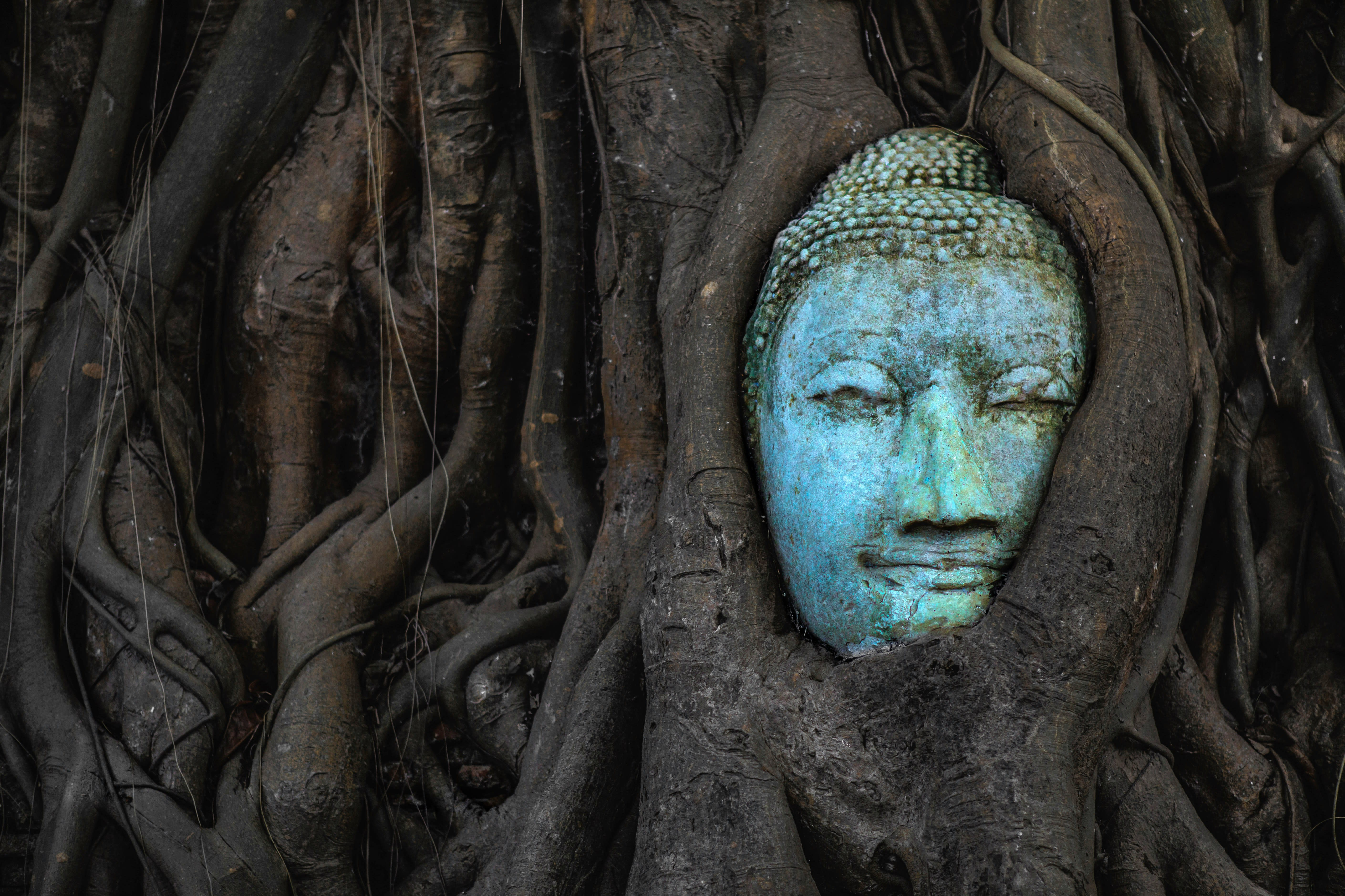 The famous Buddha head in tree roots at Wat Mahathat