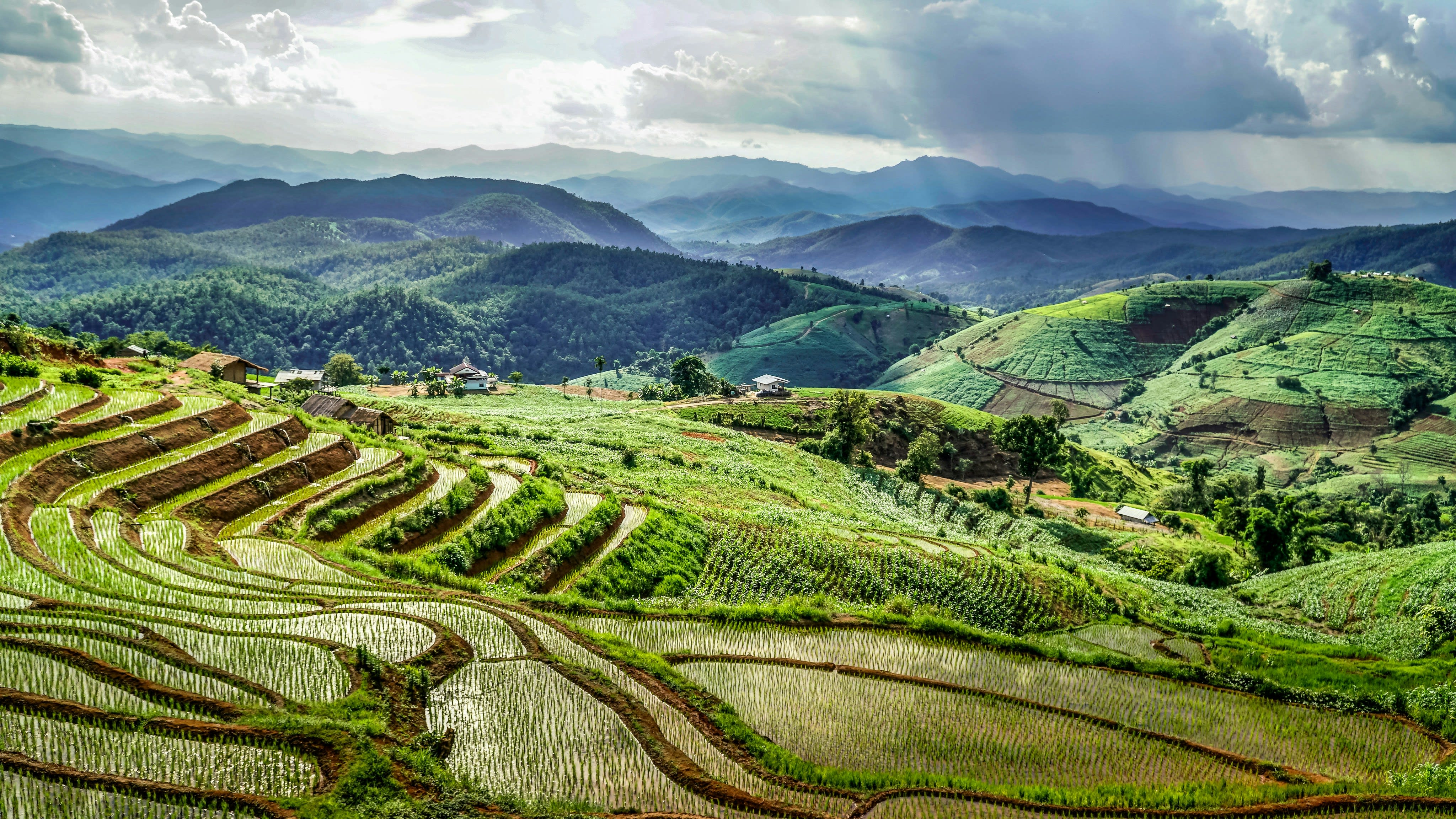 An Isan rural scene — rice fields, a local market, or a Khmer ruin