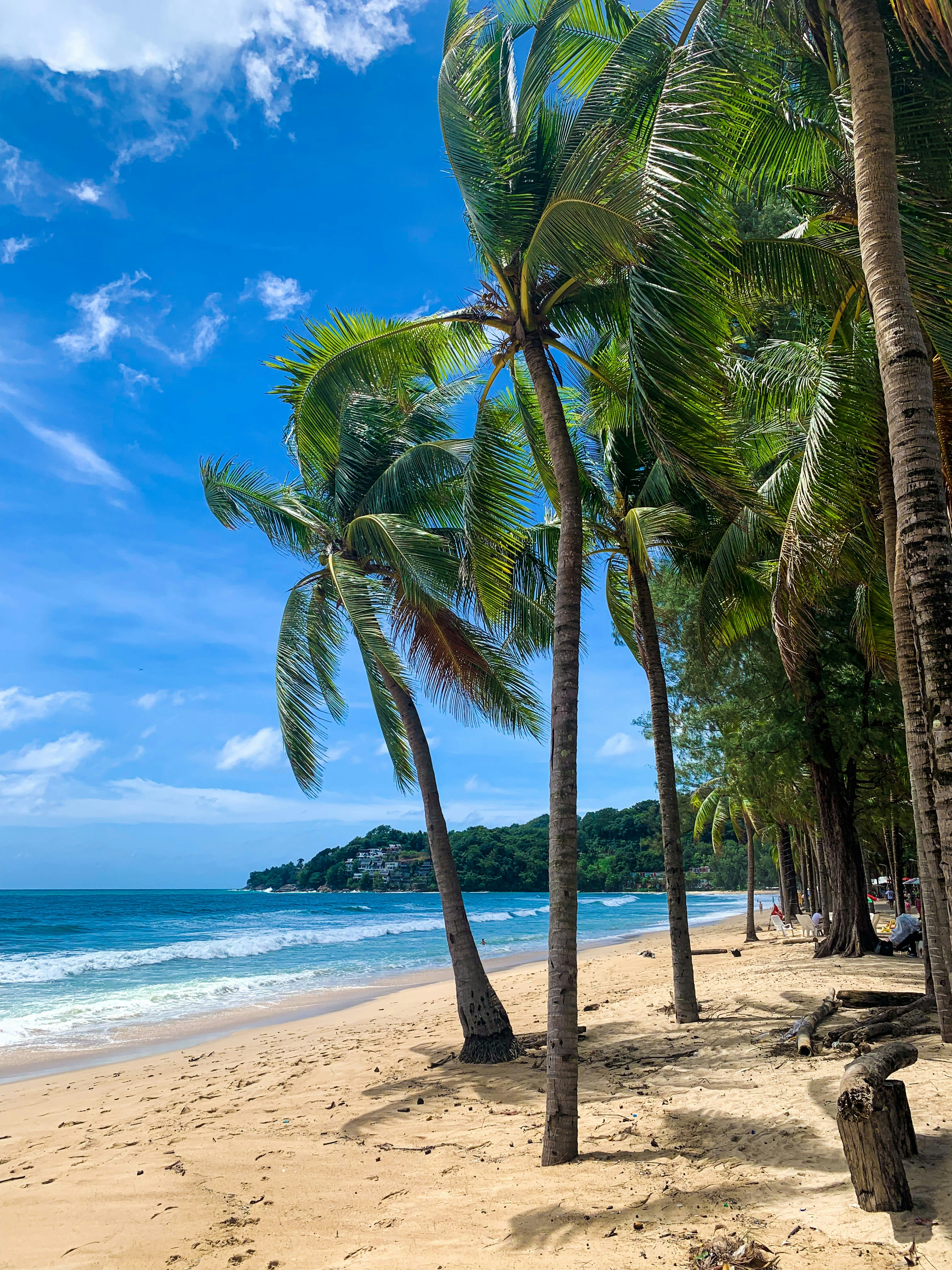 A sweeping Phuket beach and coastline in bright daylight