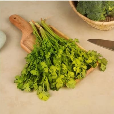 Coriander Bunch (Dhaniya Patta)