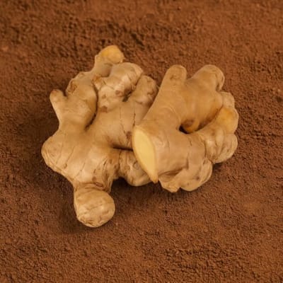 Organically Grown Ginger (Adrak)