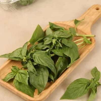 Hydroponic Italian Basil Leaves