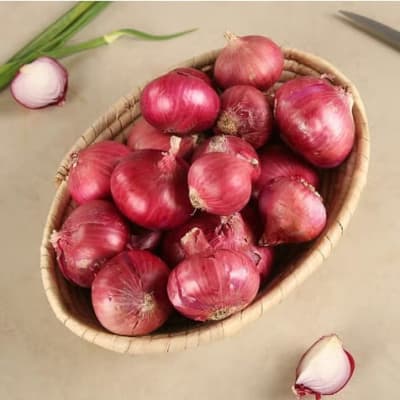 Onion (Pyaz)