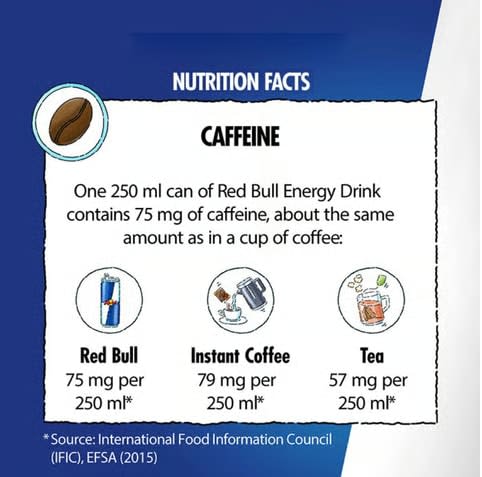 Red Bull Energy Drink (250 ml)