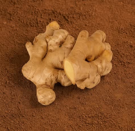 Organically Grown Ginger (Adrak)