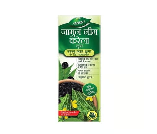 Dabur Jamun Neem Karela Juice
