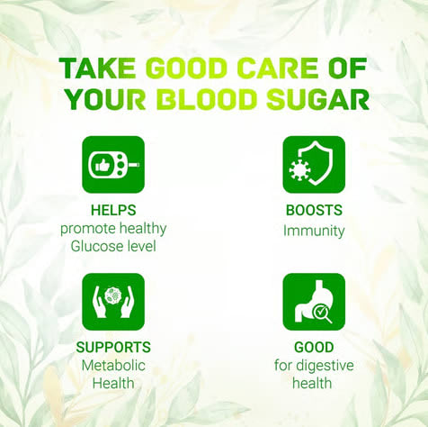Dabur Jamun Neem Karela Juice