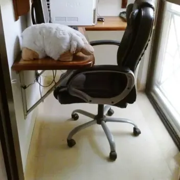 #228 - Casa en venta en Cúcuta de 186m², 3 habitaciones y 2 parqueaderos - 12