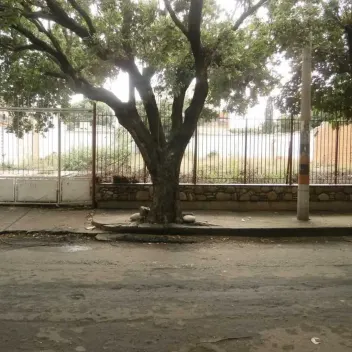 #365 - Lote en Cúcuta en venta de 660m² - 4