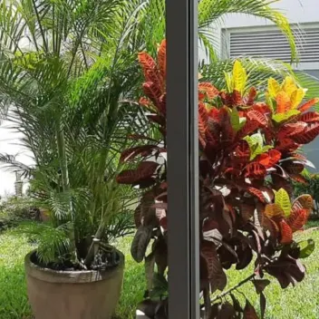 #419 - Casa en Los Patios en venta de 500m², 3 habitaciones y 1 parqueadero - 14