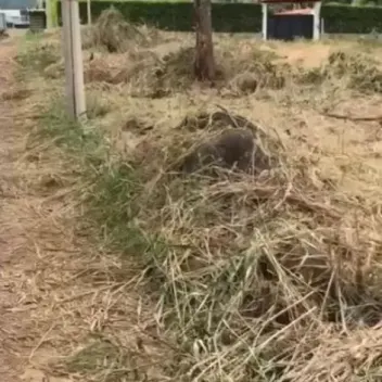 #440 - Lote en conjunto cerrado en Cúcuta en venta de 1000m² - 1