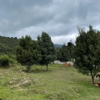 #476 - Lote en Chinácota en venta de 2000m² - 14