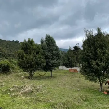 #476 - Lote en Chinácota en venta de 2000m² - 4