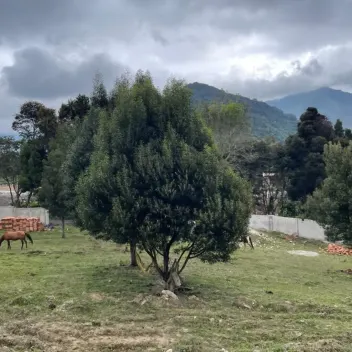 #476 - Lote en Chinácota en venta de 2000m² - 5