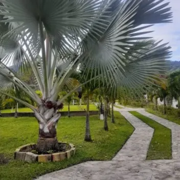 #482 - Casa en Chinácota en venta de 100m², 5 habitaciones - 5