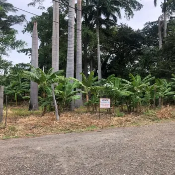 #553 - Lote en Cúcuta en venta de 1250m² - 2