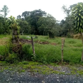 #646 - Lote en Chinácota en venta de 2000m² - 1