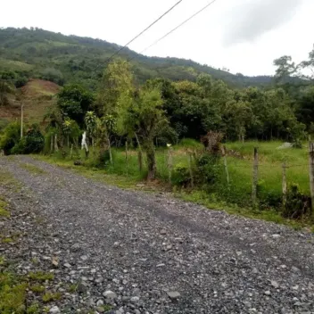 #646 - Lote en Chinácota en venta de 2000m² - 5