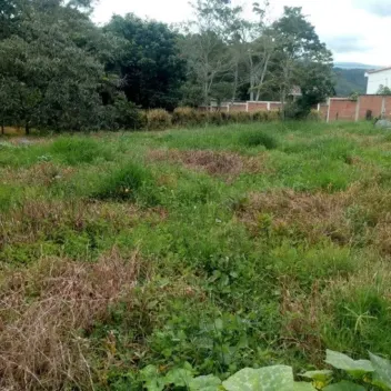 #646 - Lote en Chinácota en venta de 2000m² - 3