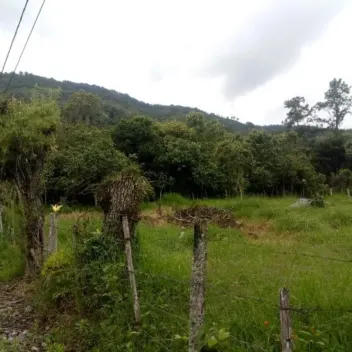 #646 - Lote en Chinácota en venta de 2000m² - 2